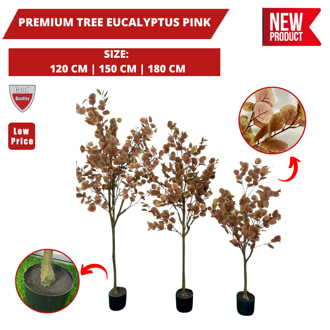 PREMIUM TREE EUCALYPTUS PINK_0