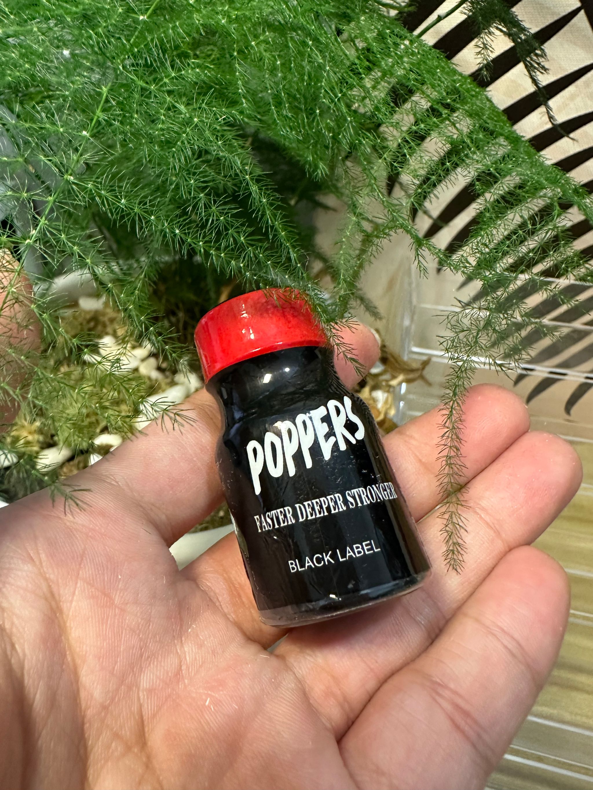 Popp*rs_0
