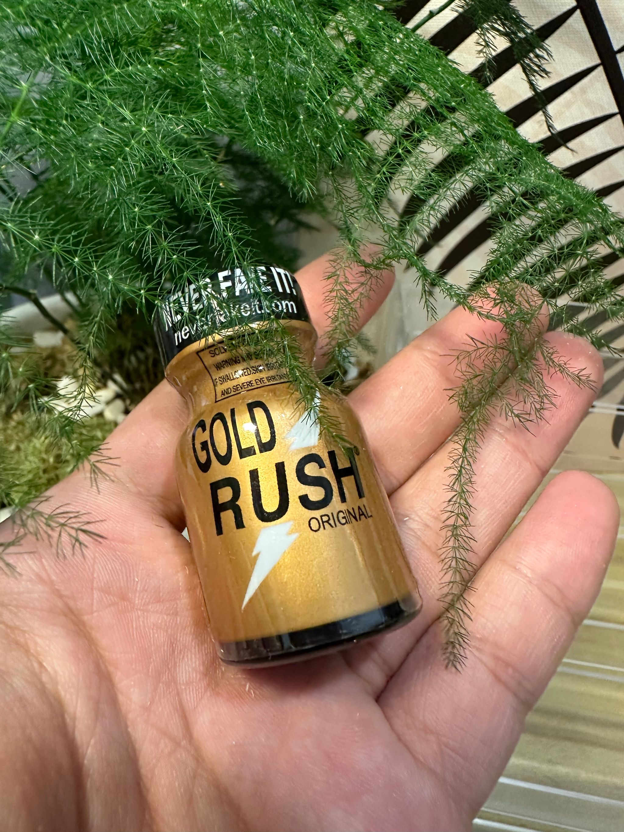 Rush Gold_0