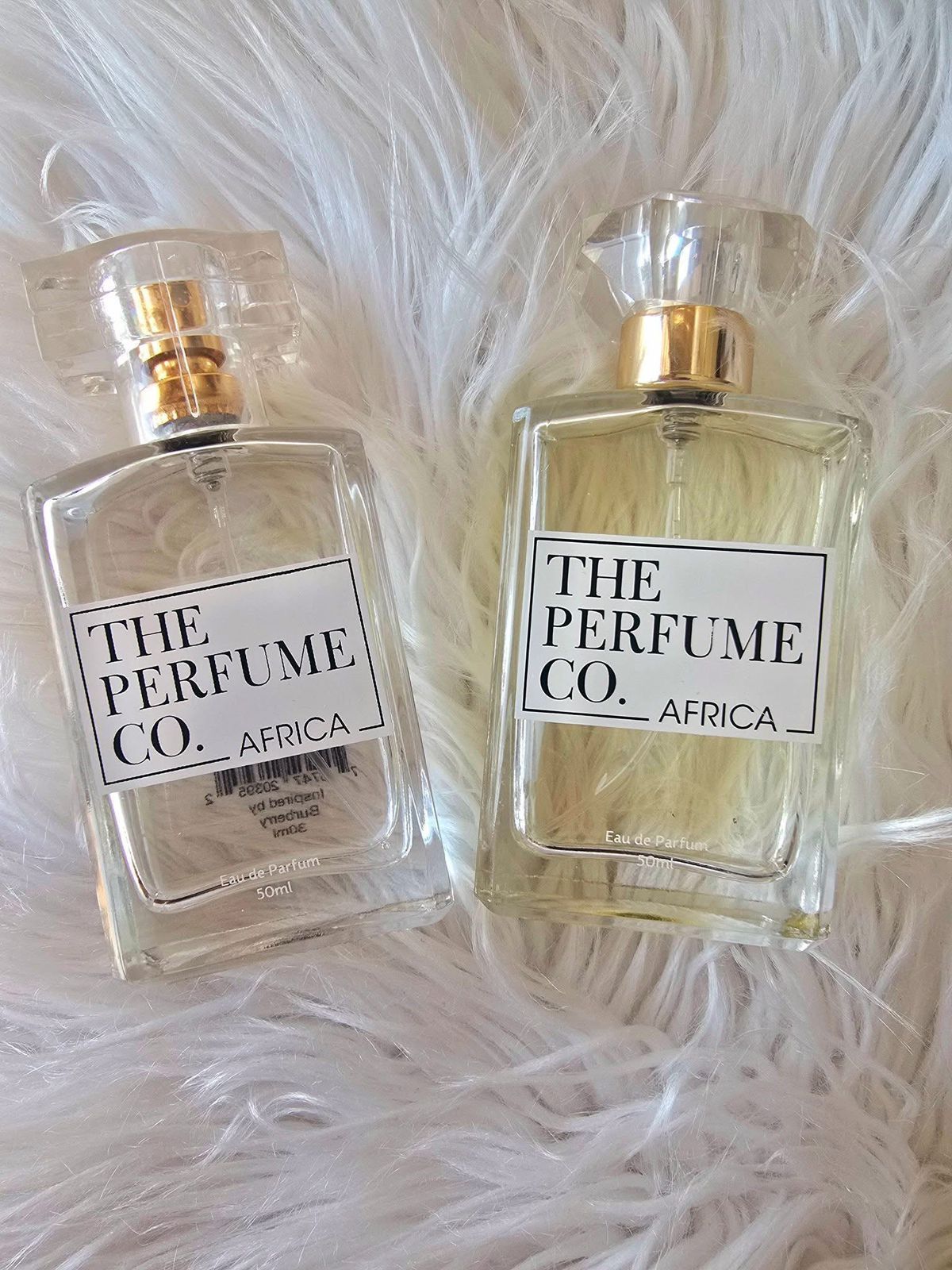 Rebel Sunset Ladies _0