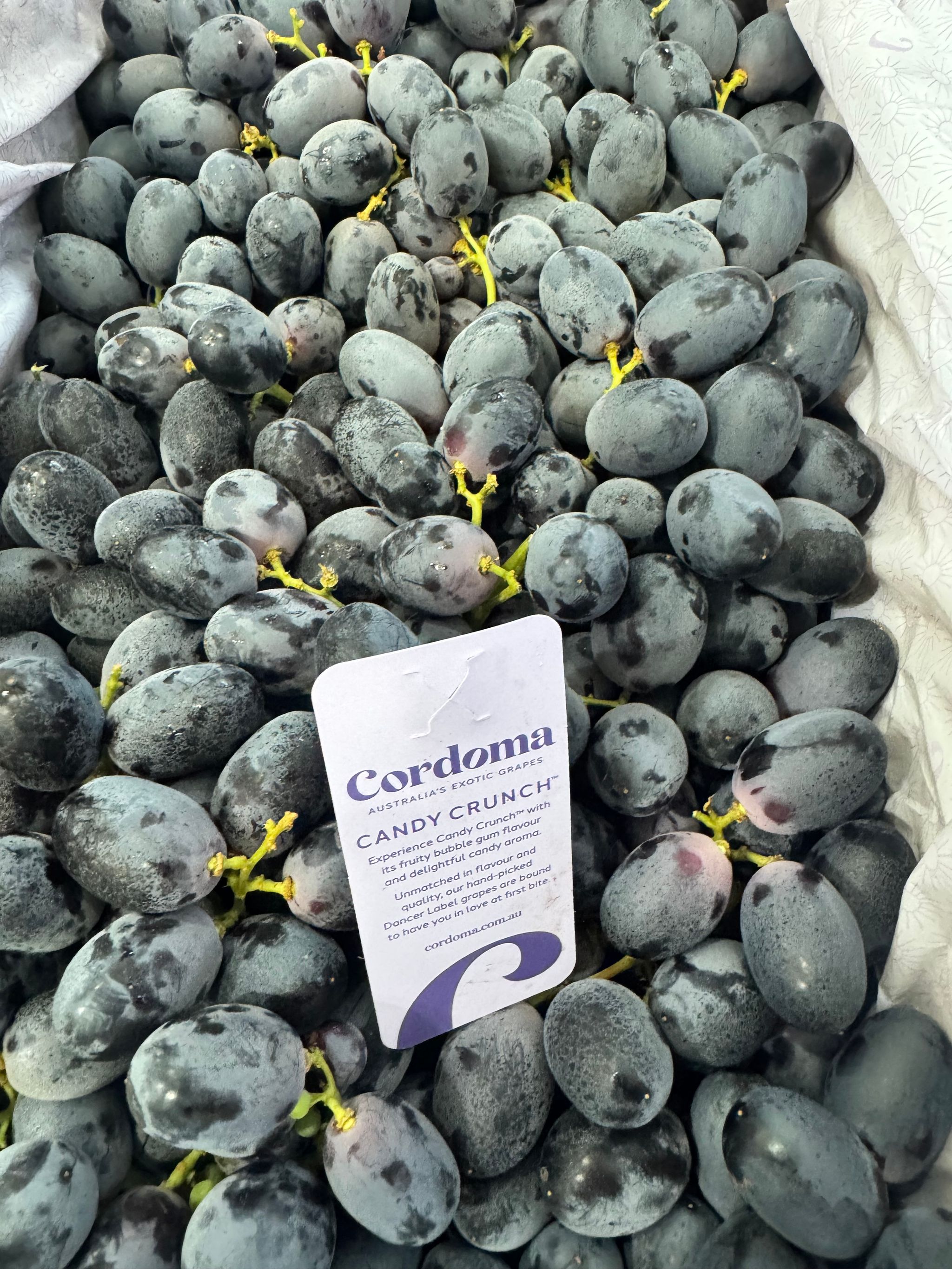 Australia Candy Crunch Black Grapes _0