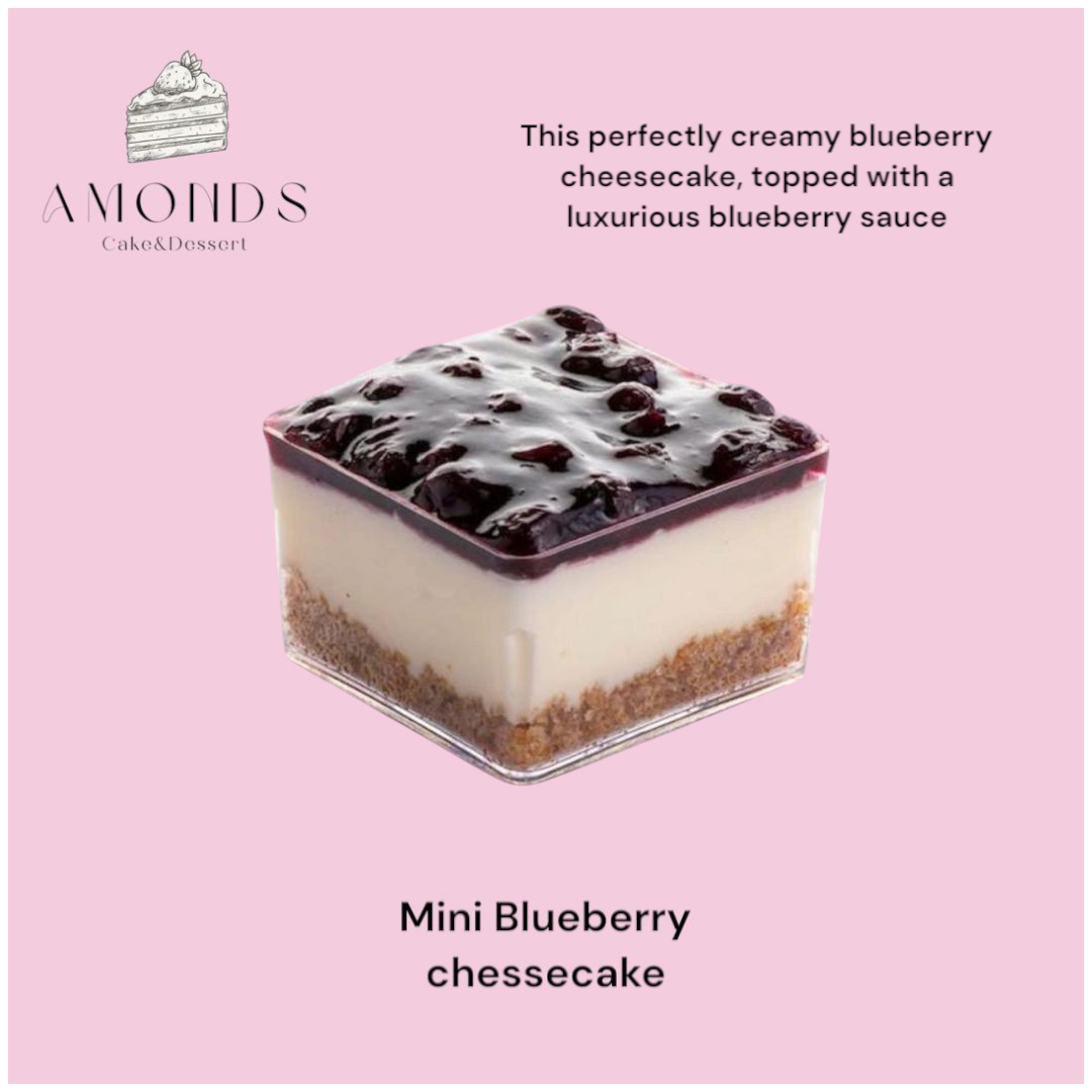 Mini Blueberry Cheesecake ( for 1 person )_0