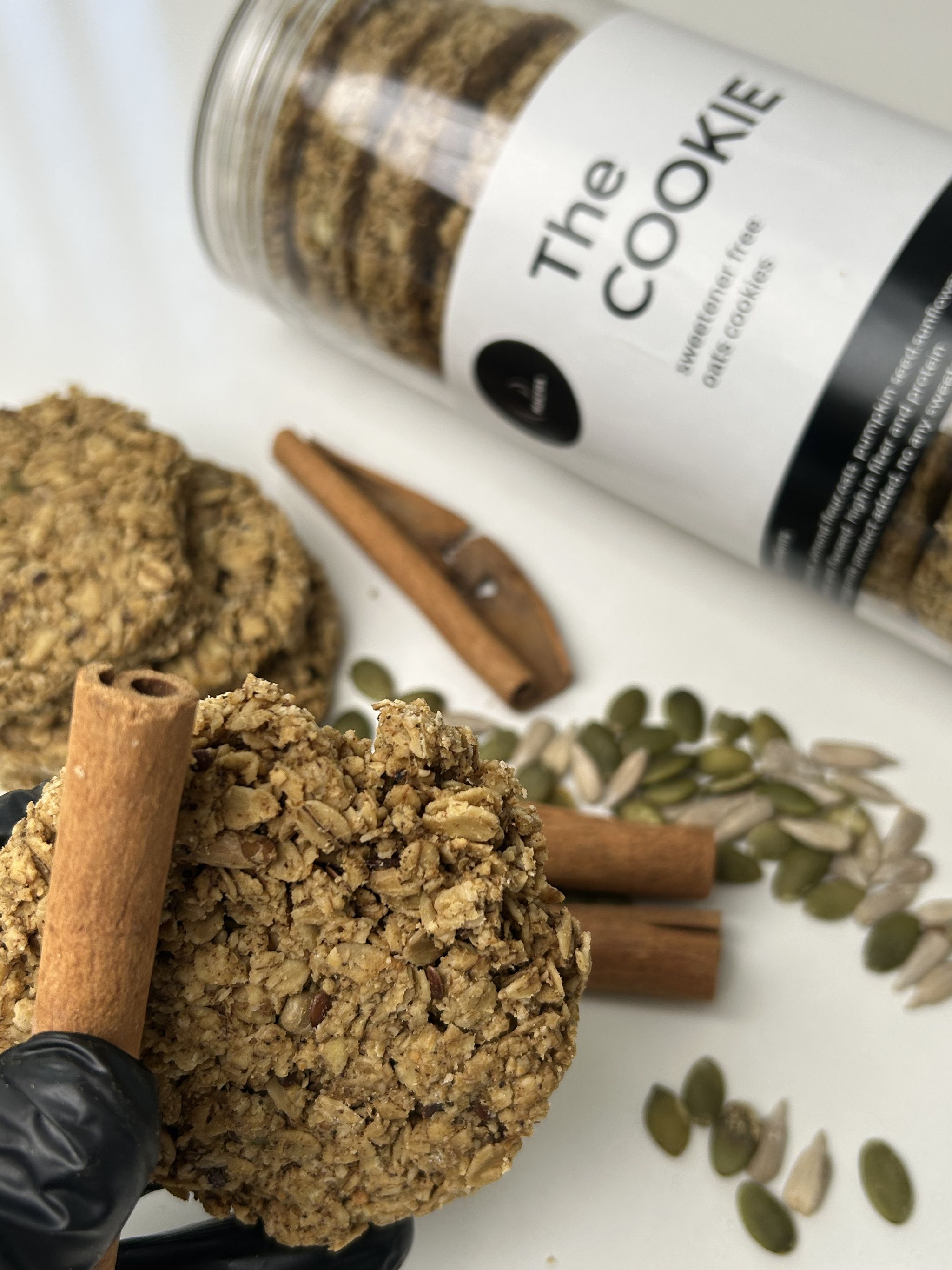 Sweetener Free Oats Cookies_1