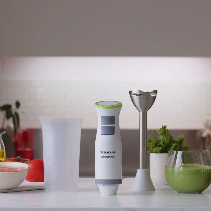 HAND BLENDER -TAURUS - BAPI 850 INOX (VER_3