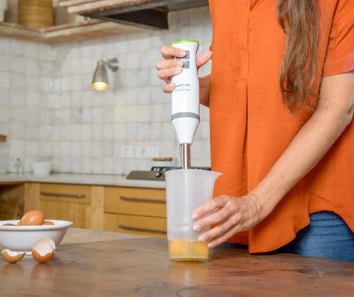 HAND BLENDER -TAURUS - BAPI 850 INOX (VER_2