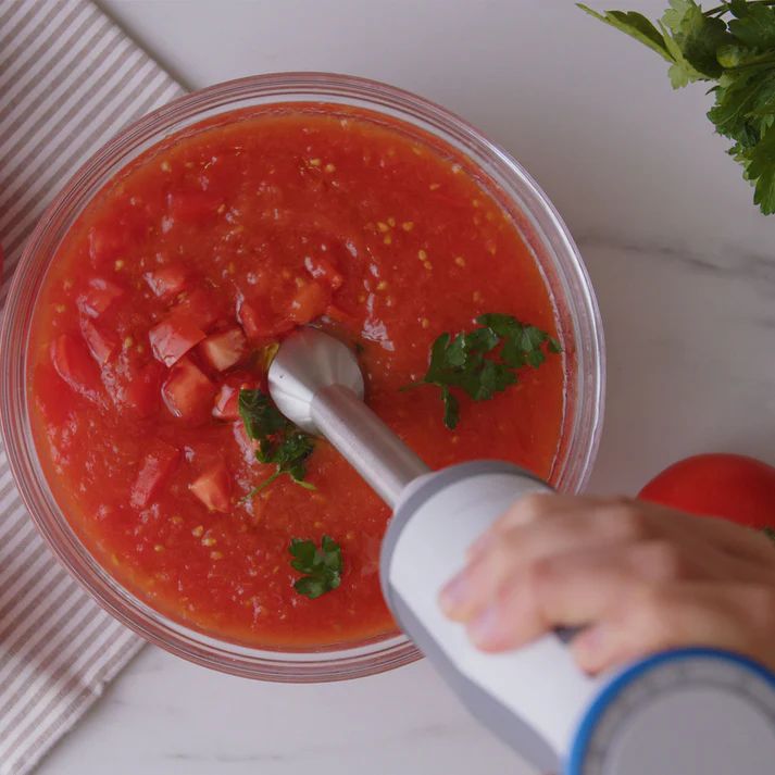 HAND BLENDER -TAURUS-BAPI 1000 ROCKET_2