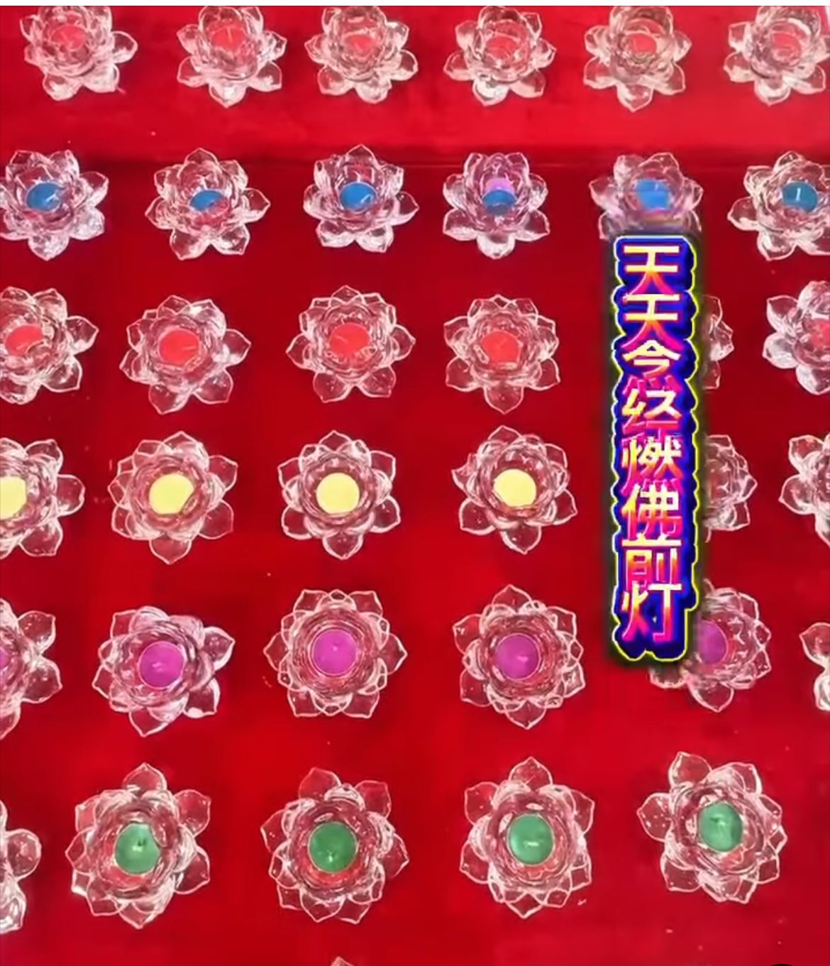 天天念经，燃佛前灯_0