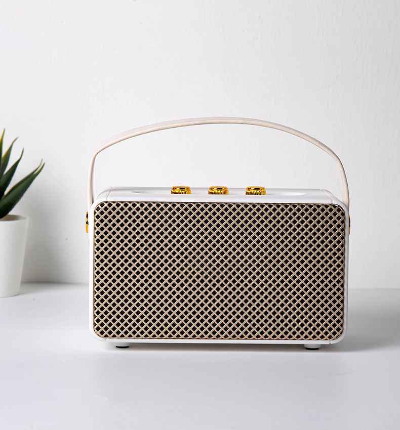 MARSHALL SPEAKER M10_3