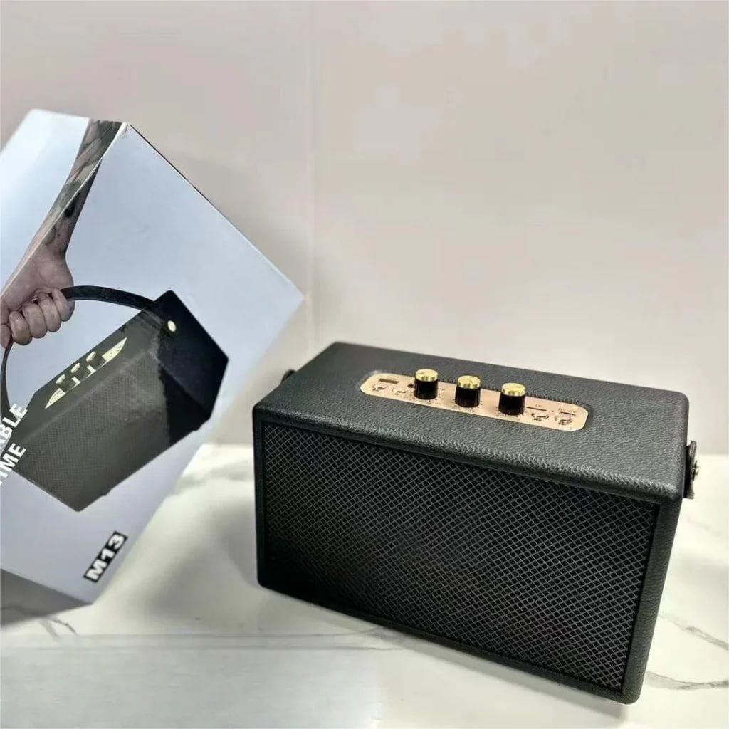 MARSHALL SPEAKER M13_1