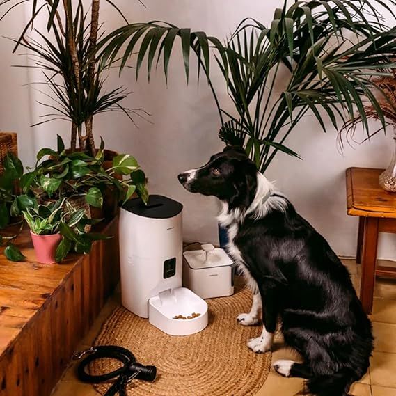PET FEEDER - MELLER - PETTO EAT SMA_4
