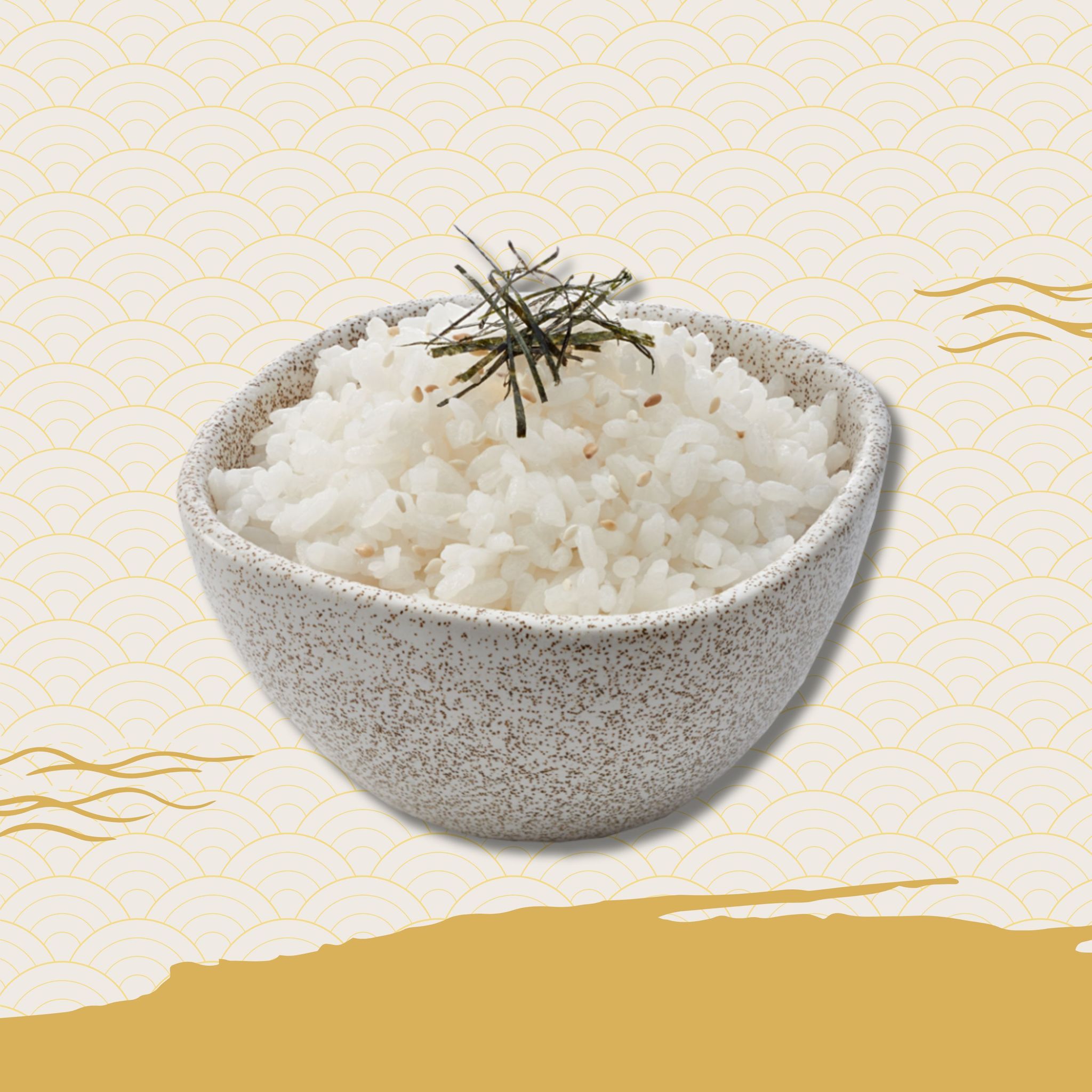 Sushi Meshi_0