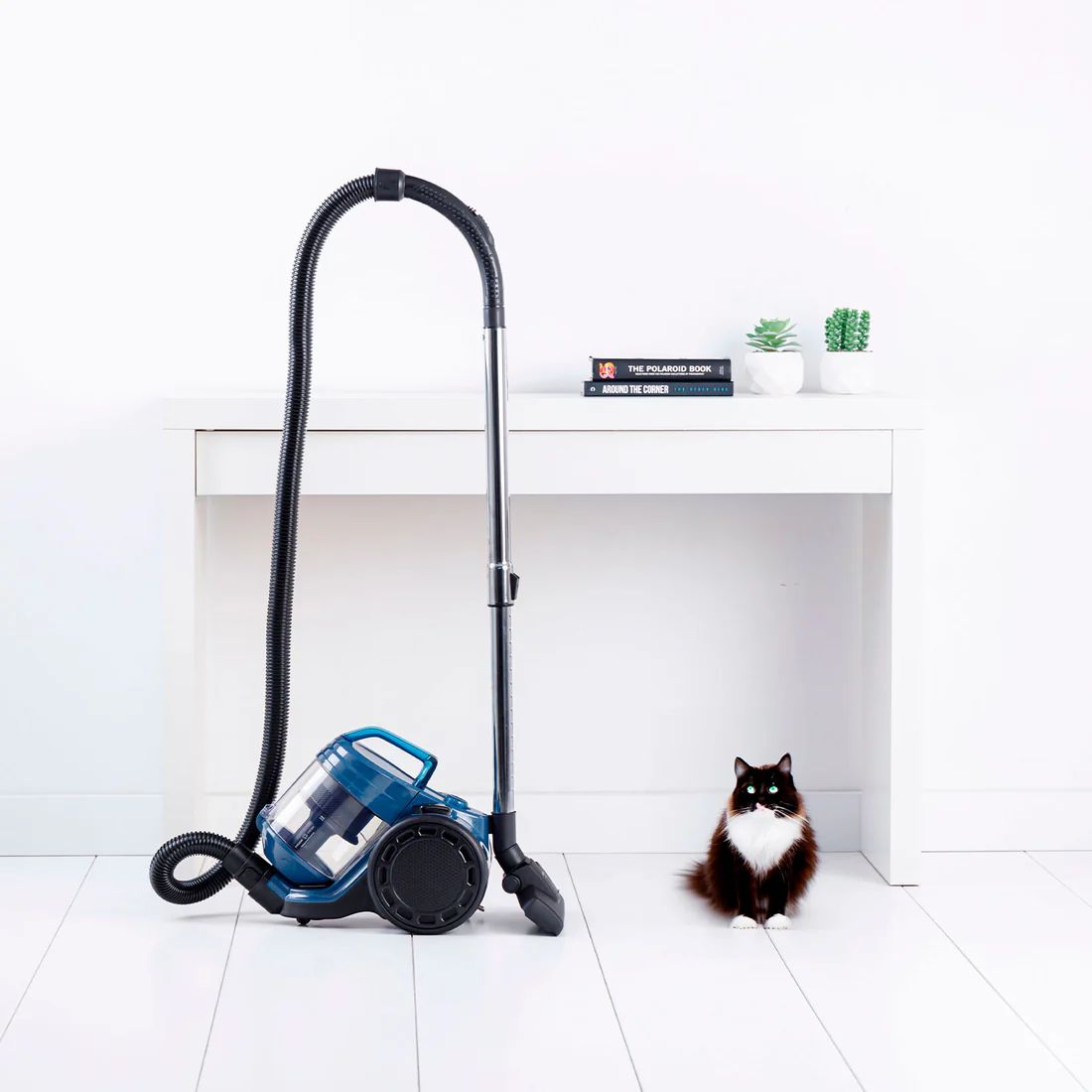 VACCUM CLEANER - TAURUS - HOMELAND CYCLONE ANIMAL_8