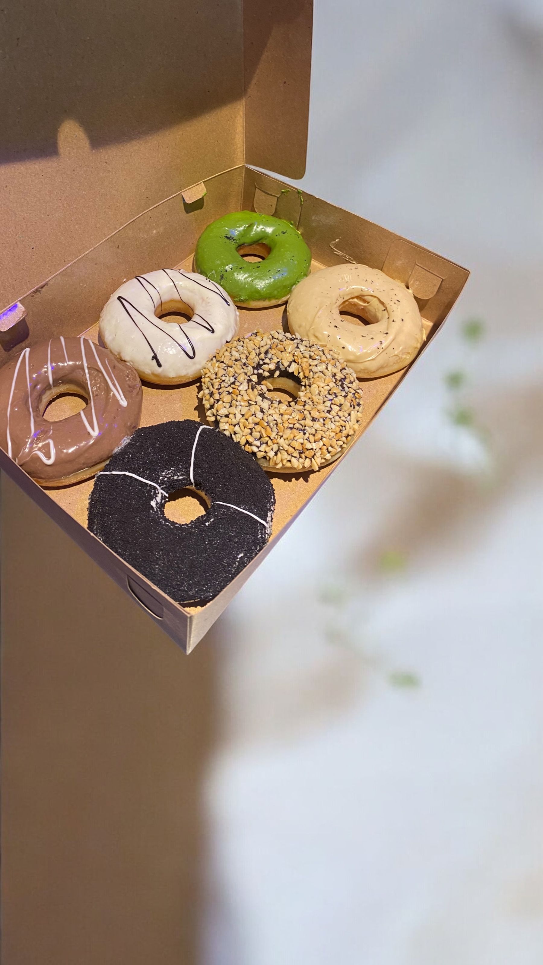 6 Pcs Donut_0
