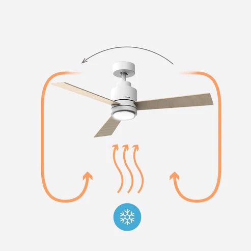MELLER - CEILING FAN Brizy Bright Core_1