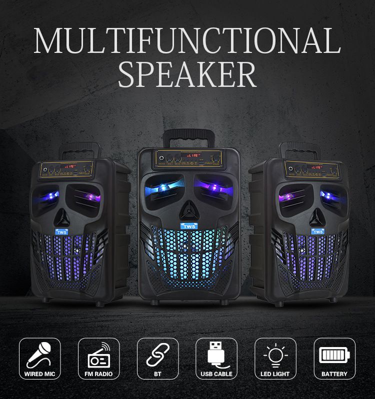 QS-7801 8" KARAOKE BLUETOOTH SPEAKER_3