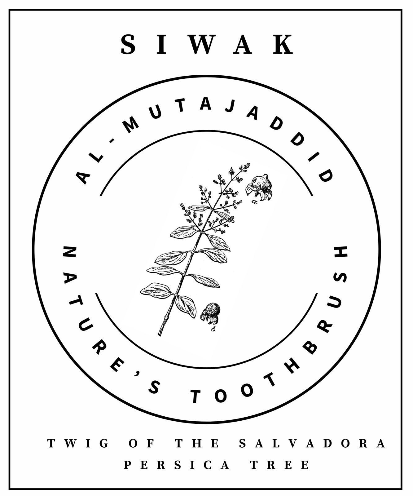 Siwak with holder (5 pcs)_1