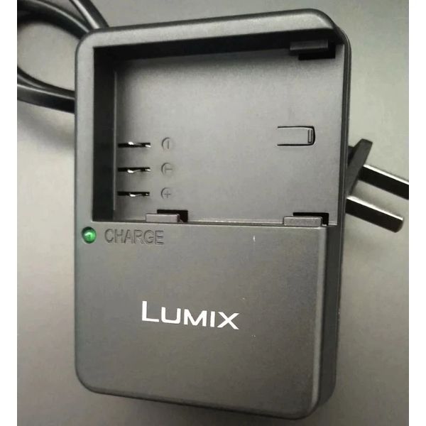 PANASONIC DMW-BTC10 (DMW-BLF19)_1