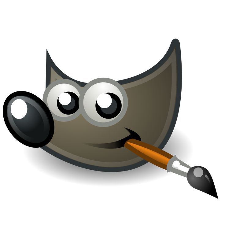 GIMP PRO _0