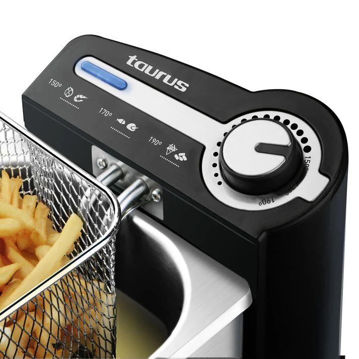 FRYER- TAURUS- PROFESSIONAL 2 PLUS (VER V) _1