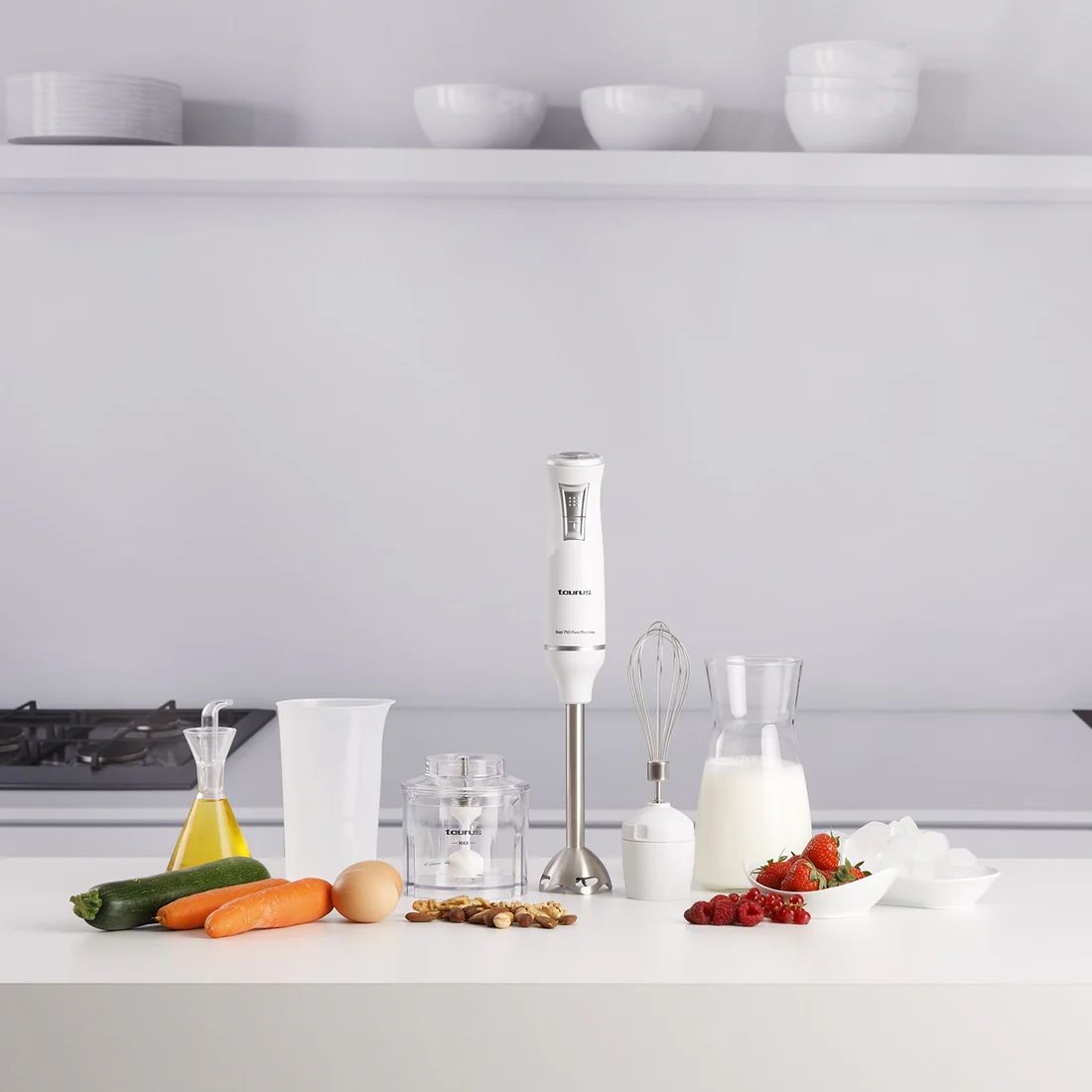 HAND BLENDER -TAURUS- BAPI 750 PURE PLUS INOX(VerII)_6