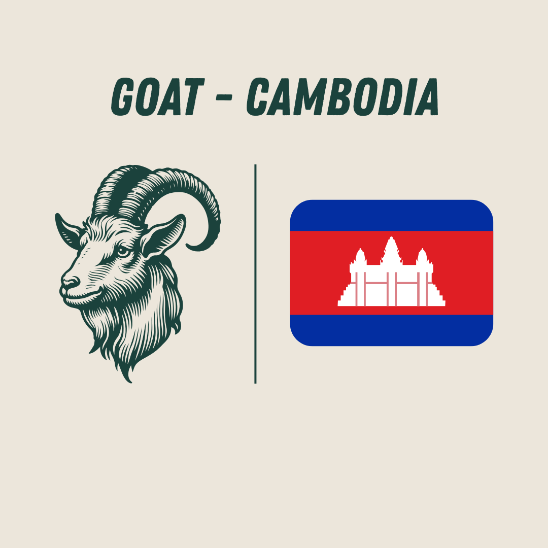 [Cambodia] - Goat_0