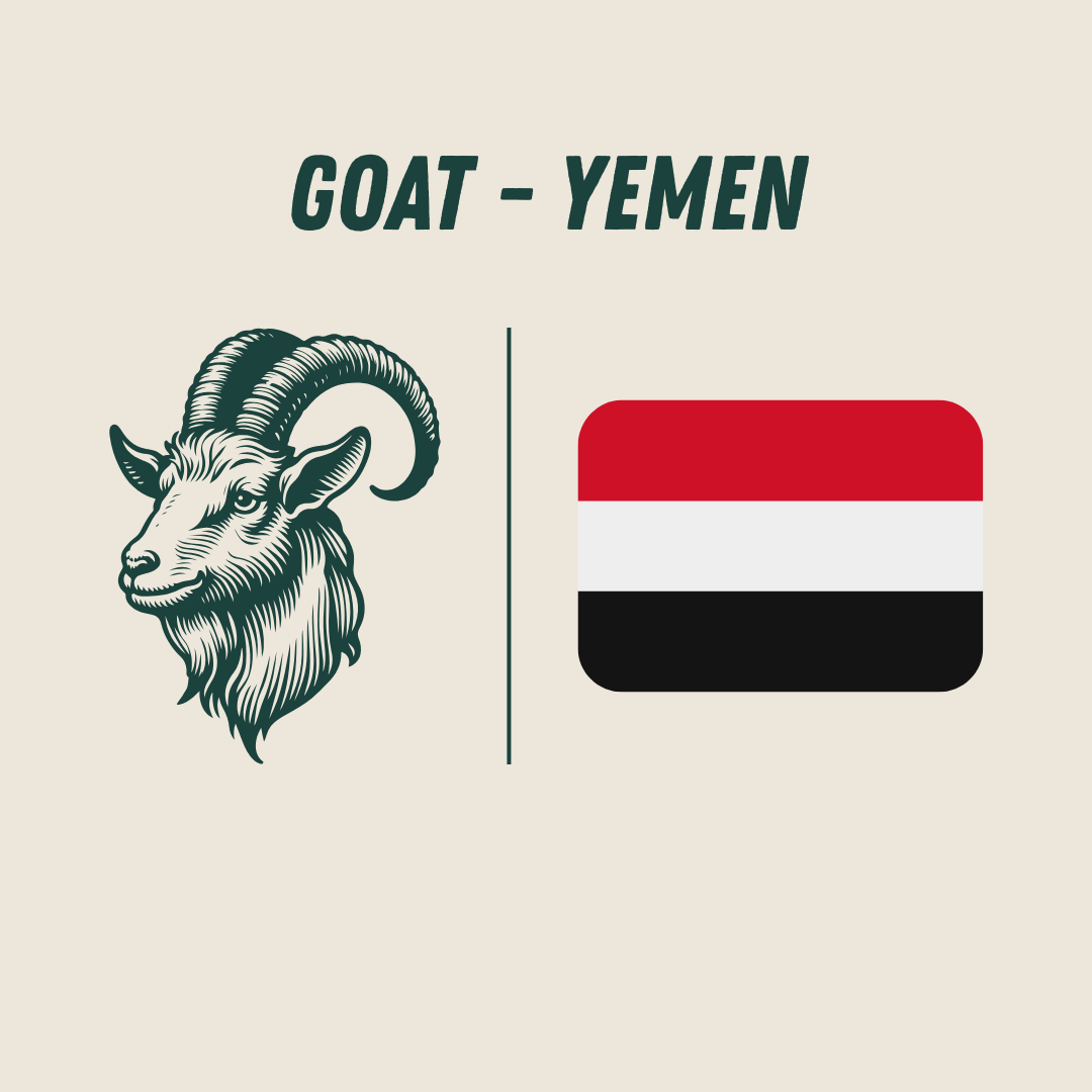 [Yemen] - Goat_0