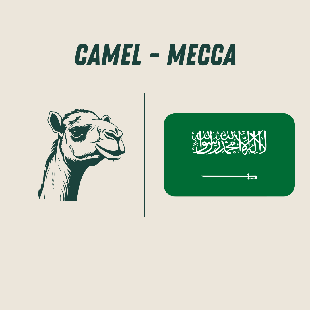 [Mecca] - Camel_0