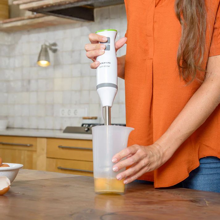 HAND BLENDER -TAURUS- BAPI 850 PLUS INOX (VE_4