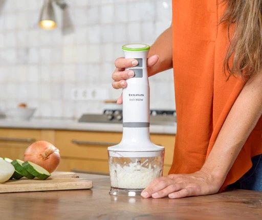 HAND BLENDER -TAURUS- BAPI 850 PLUS INOX (VE_1