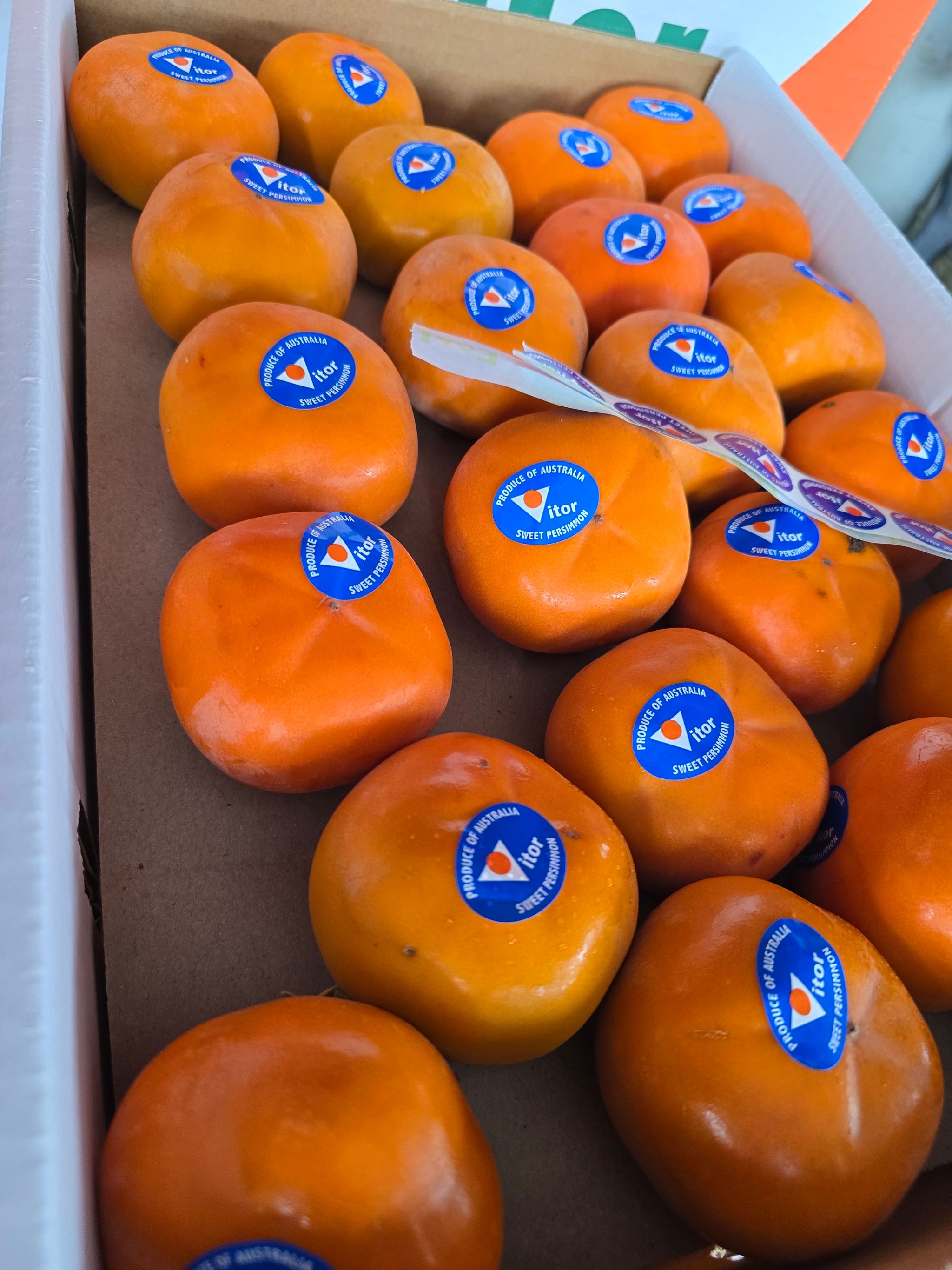 Aust Persimmon (4 per set) _1