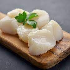 Scallops Meat_0