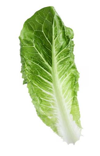 Romaine Hearts_1
