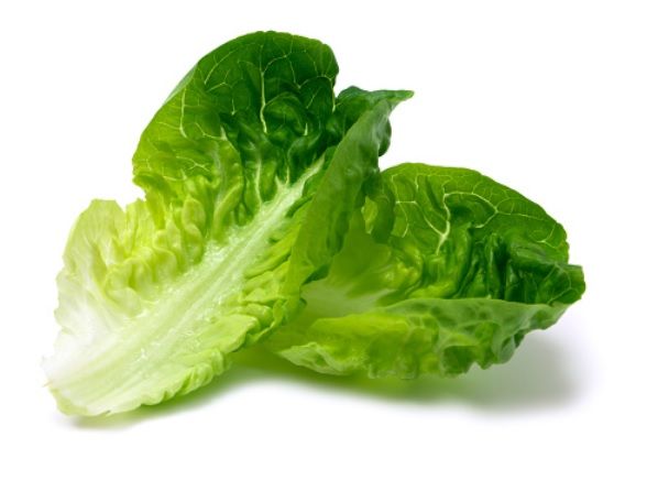 Romaine Hearts_0