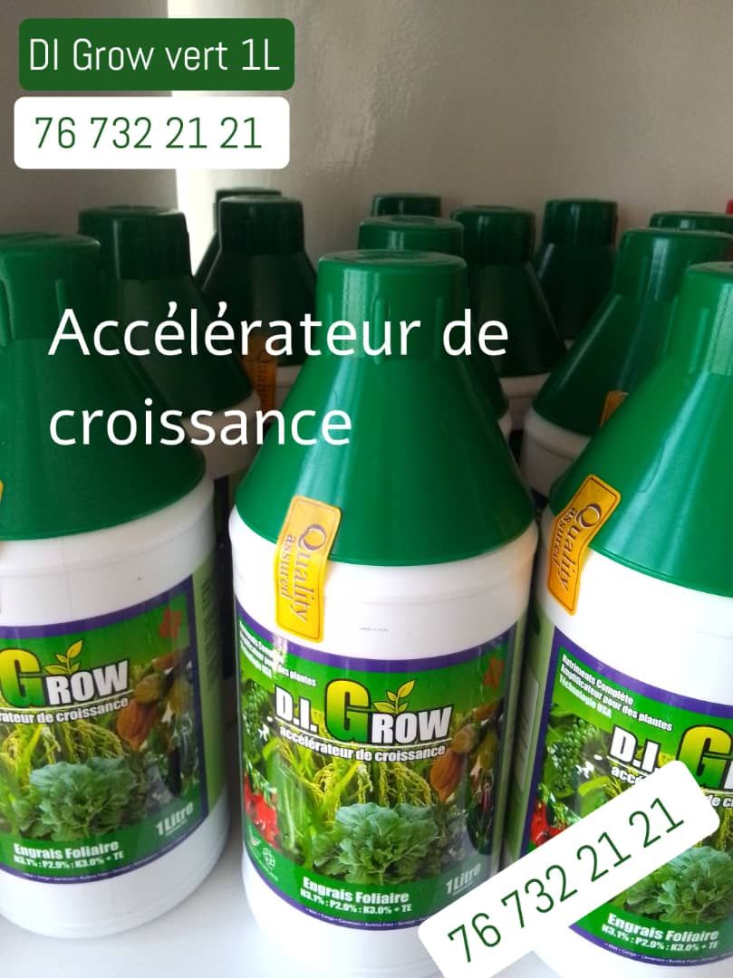 DI Grow vert 1L Engrais Foliaire Bio (Accélérateur de croissance)_0