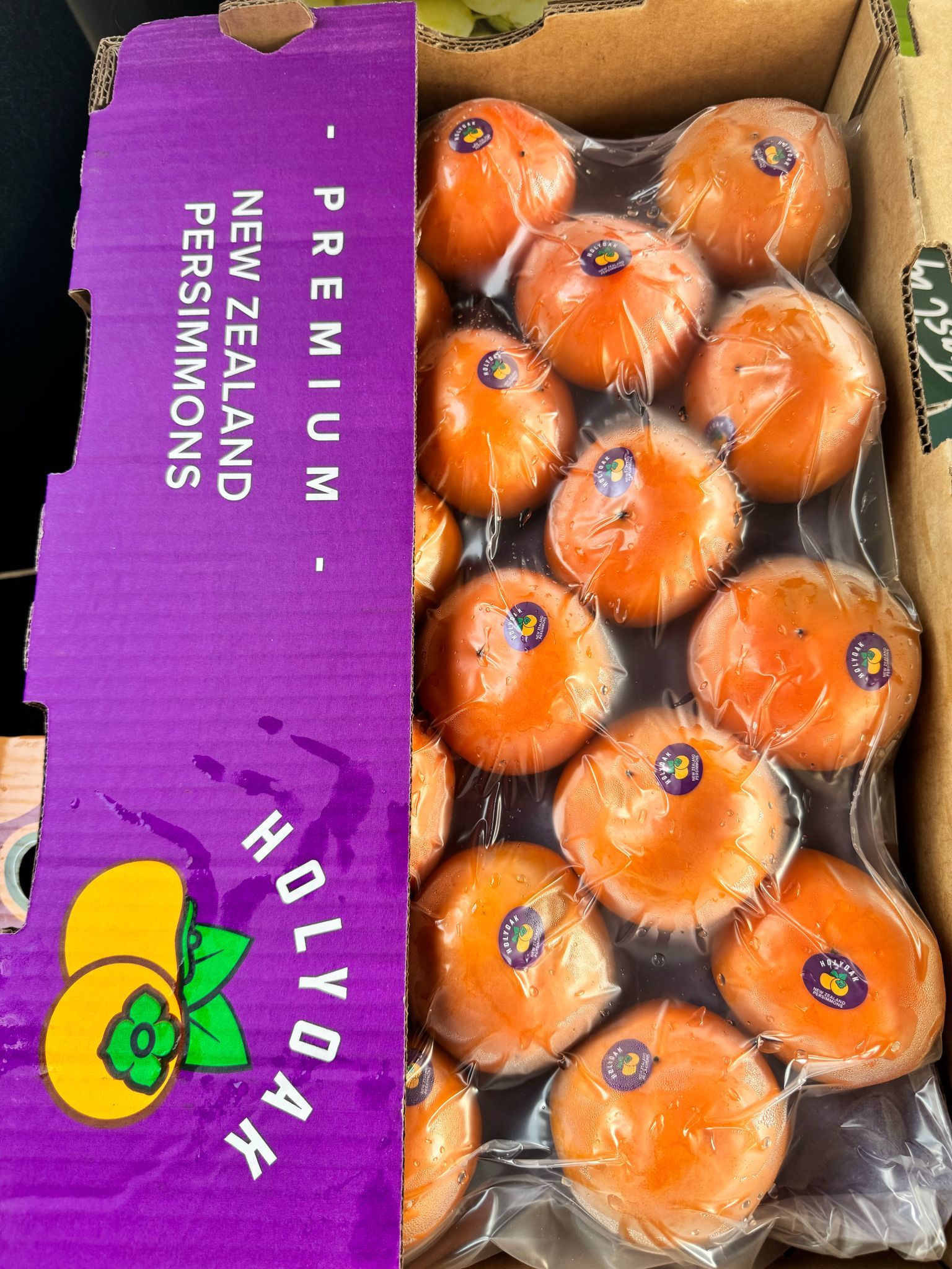  New Zealand Green House Persimmons_1