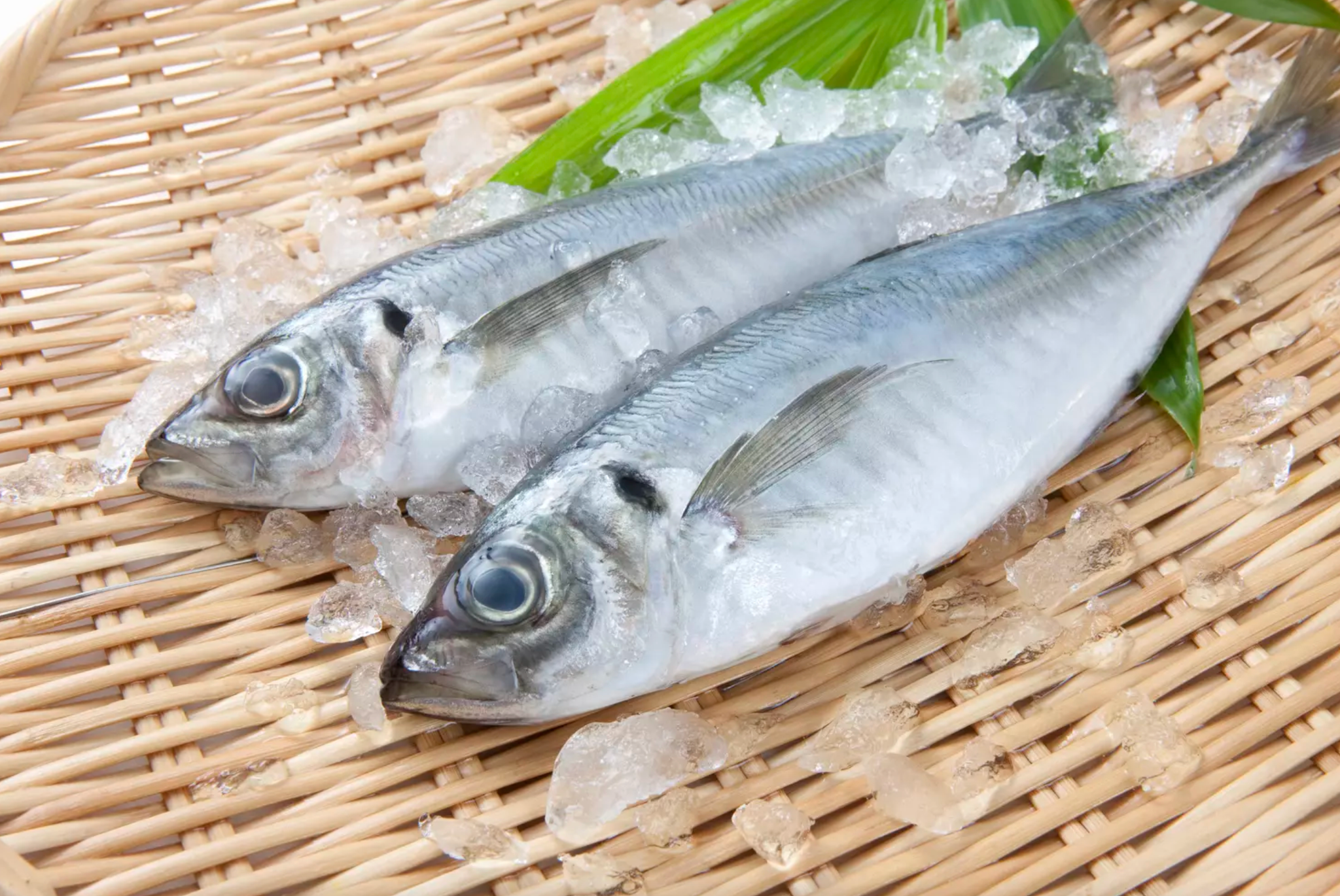 Silivi (Chinchard) - 1kg_0
