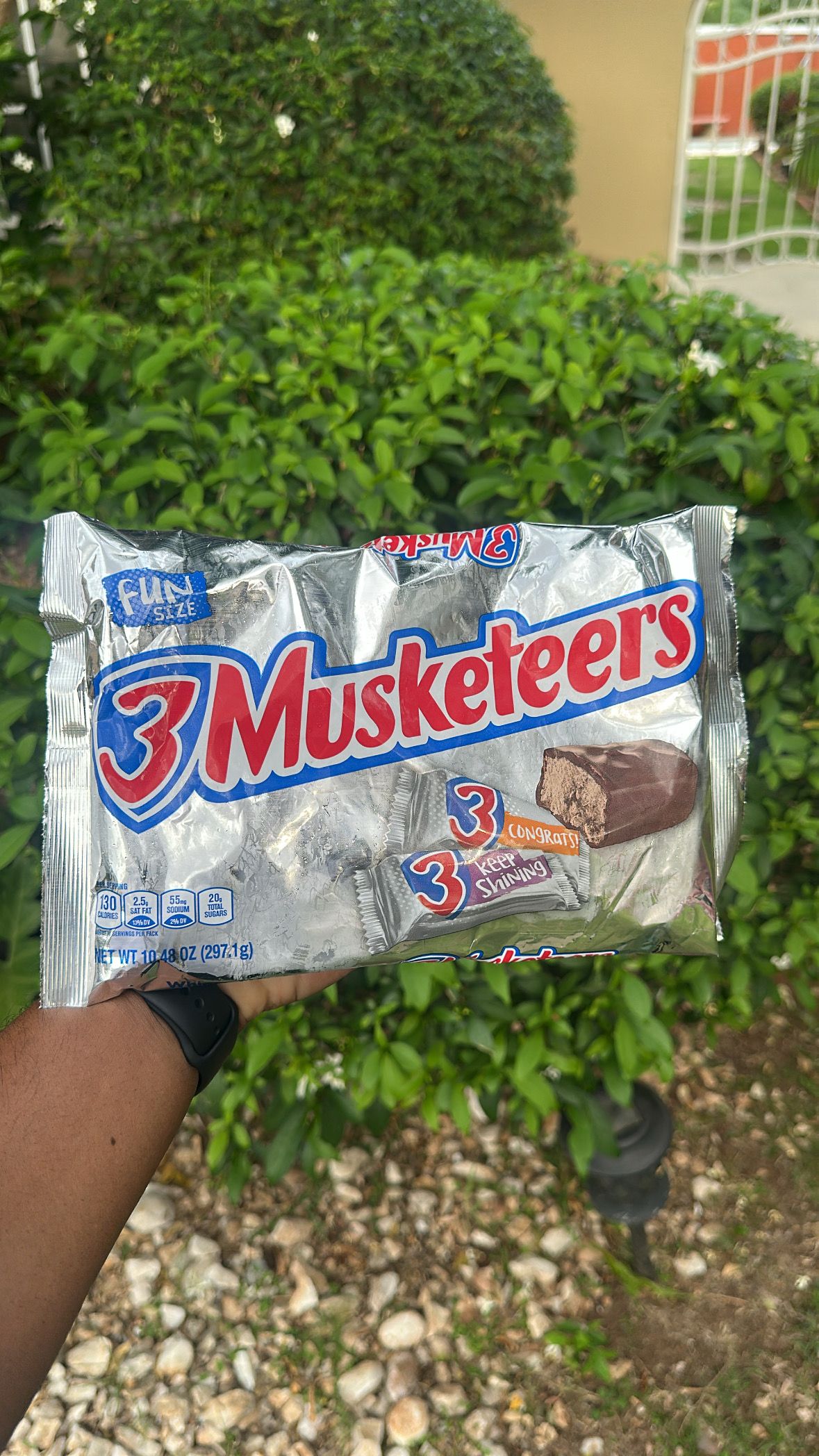 3 Musketeers Fun Size_0
