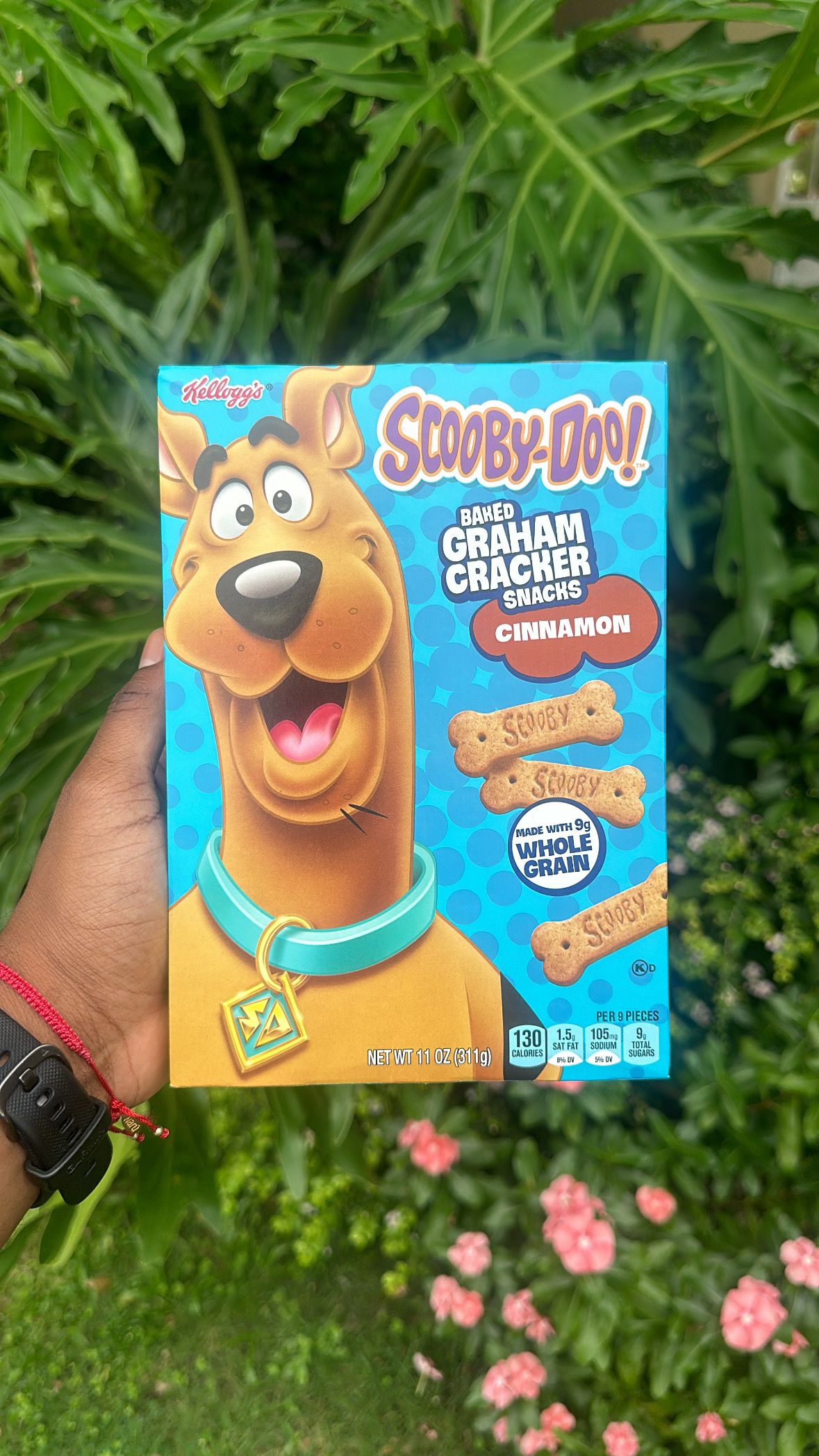 Galleta Scooby Doo_0