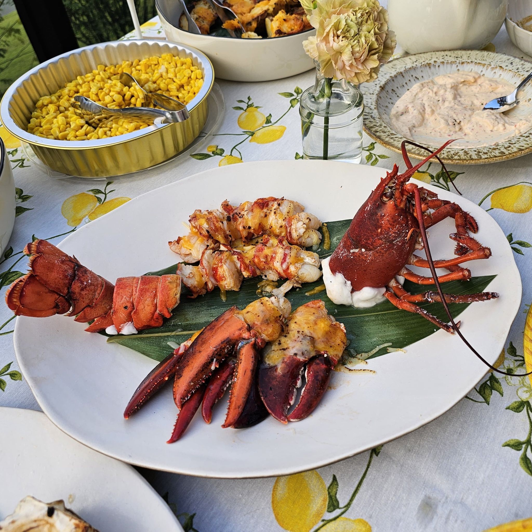Live Boston Lobster_3