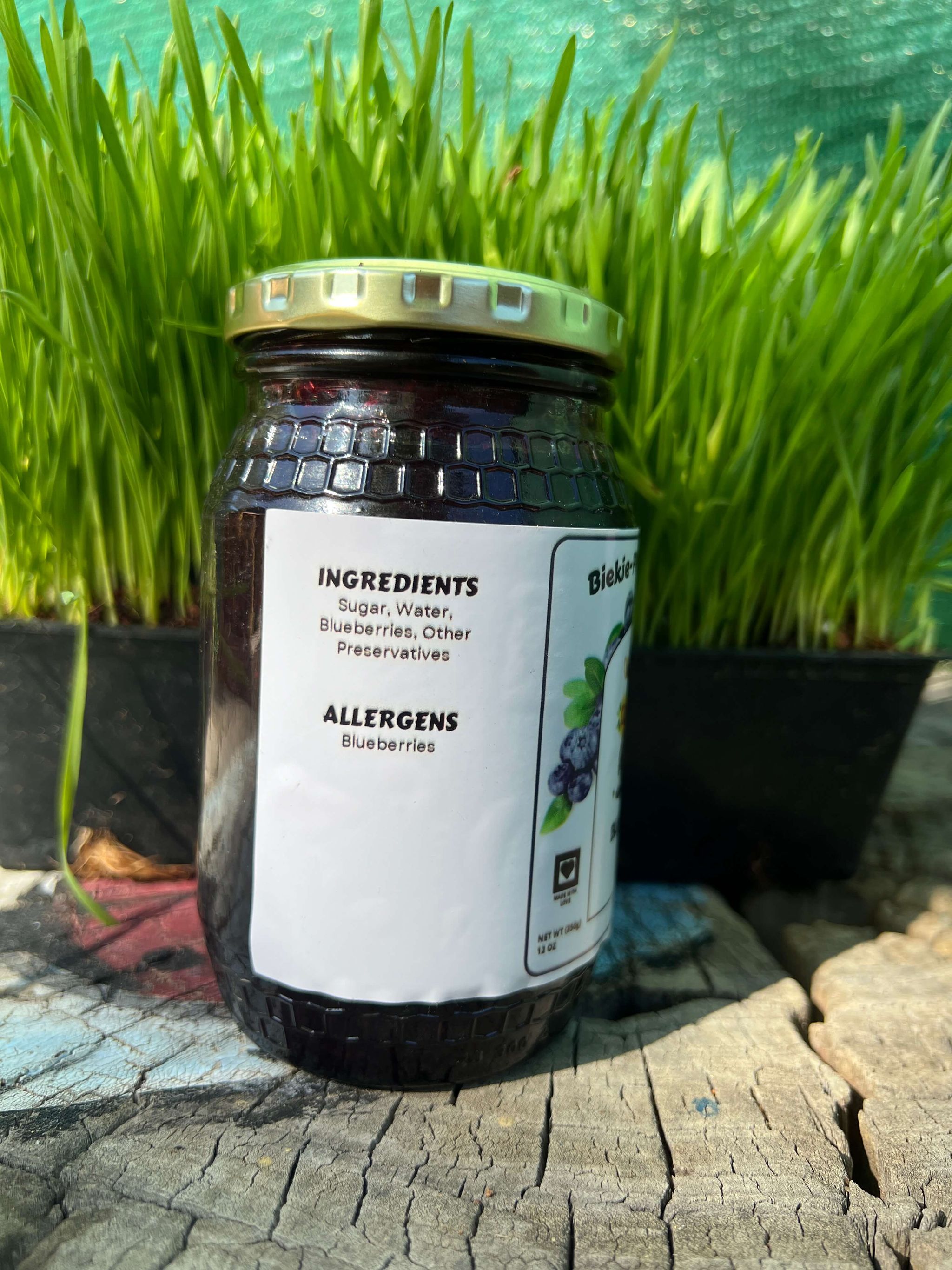 Blueberry Jam_1