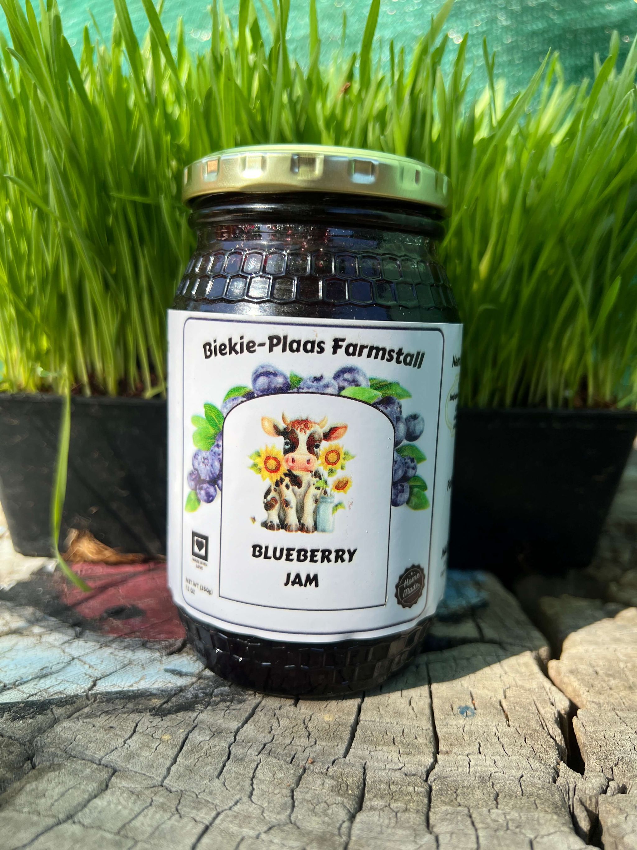 Blueberry Jam_0