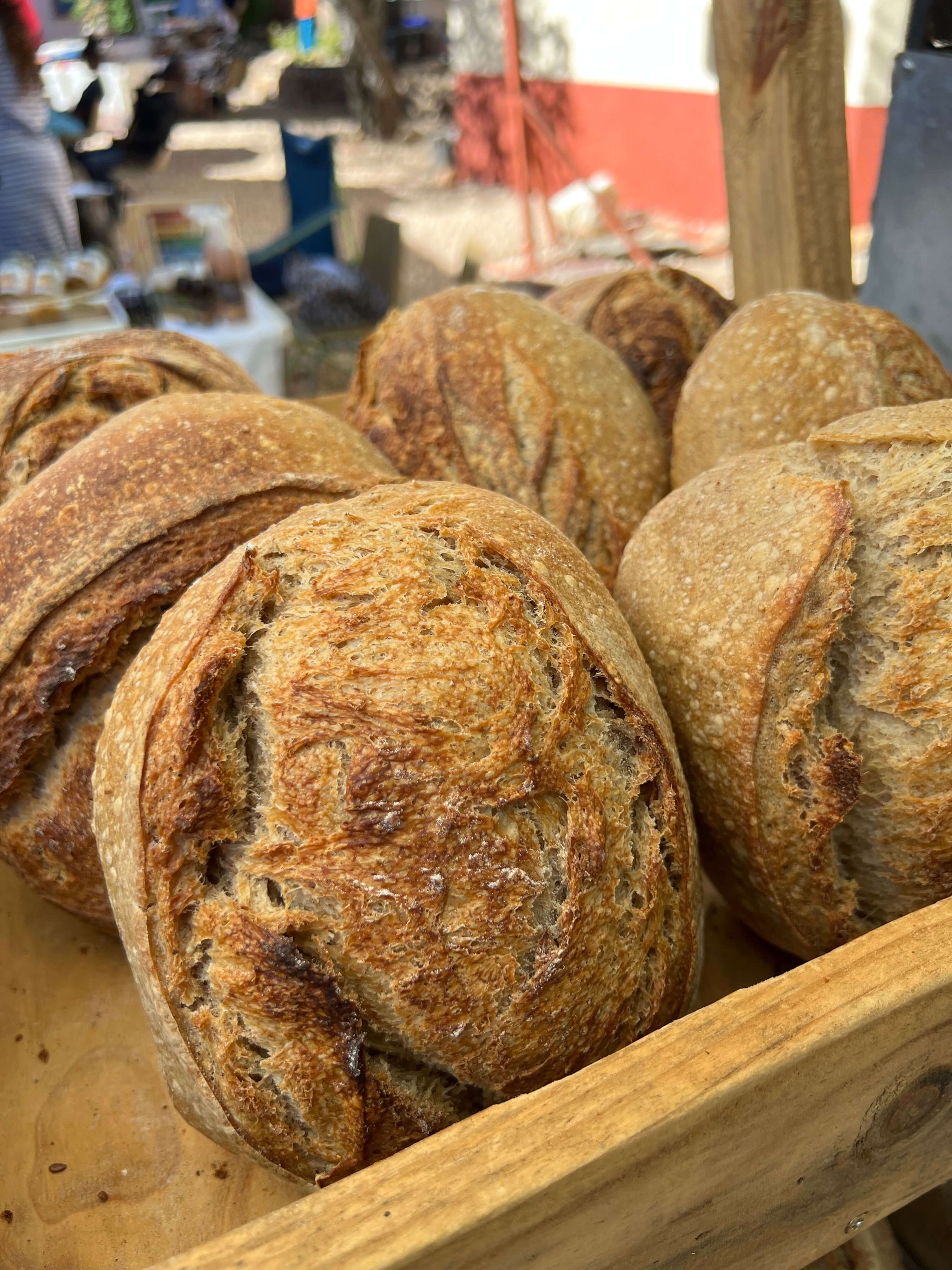 🍞 Sourdough Bread | Homemade_0