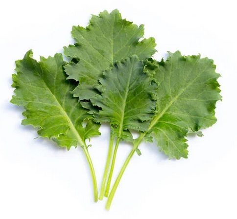 Baby Kale _0