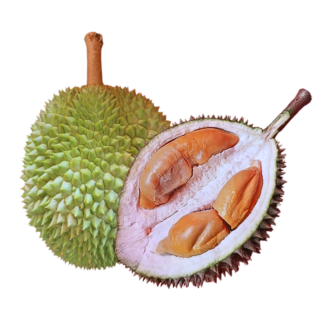 【D13】 ❤️Sweet Darling❤️Hock Meng Durian_1