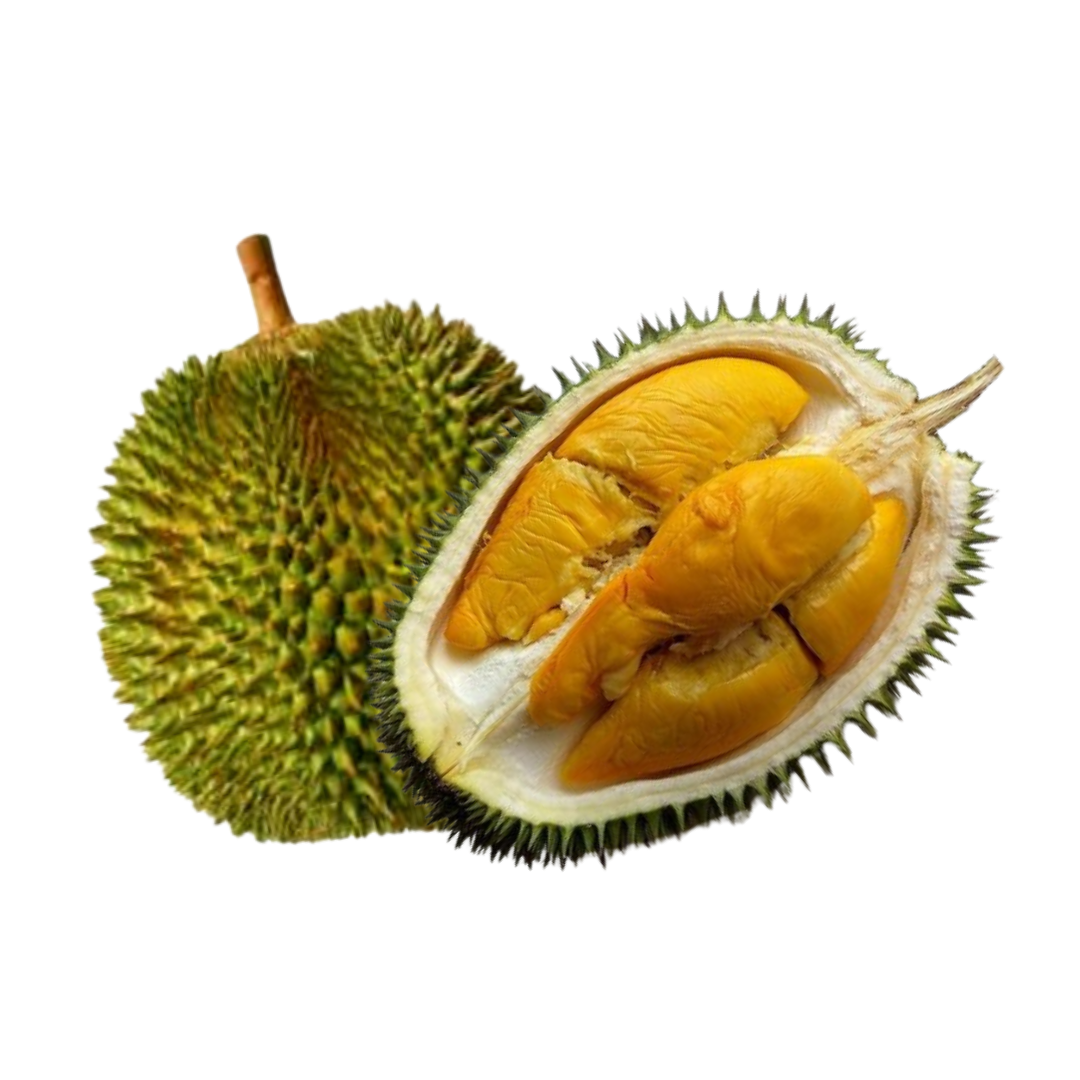 【D168】 🍯Golden Honey🍯 IOI Durian_1