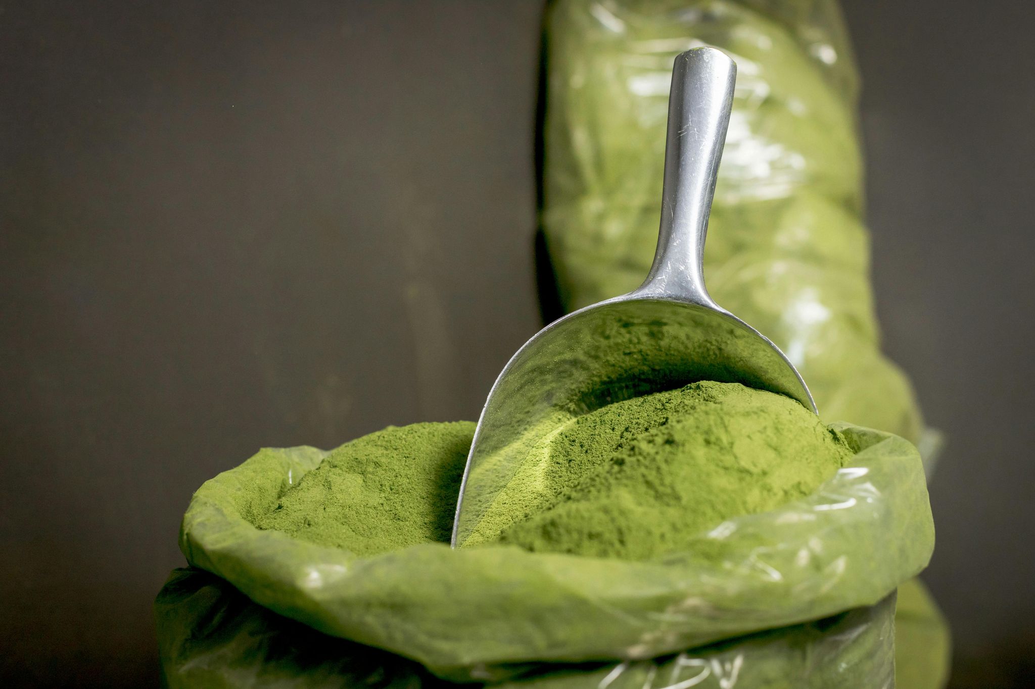 Moringa Powder _0