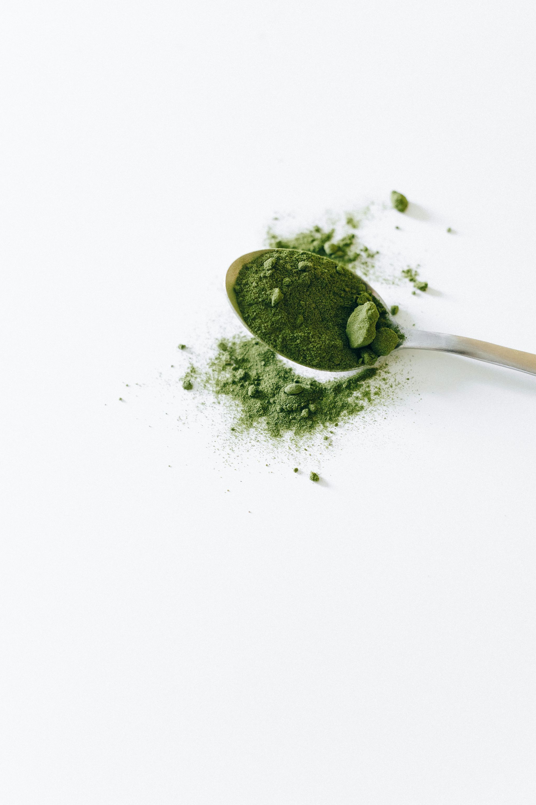 Moringa Powder _1