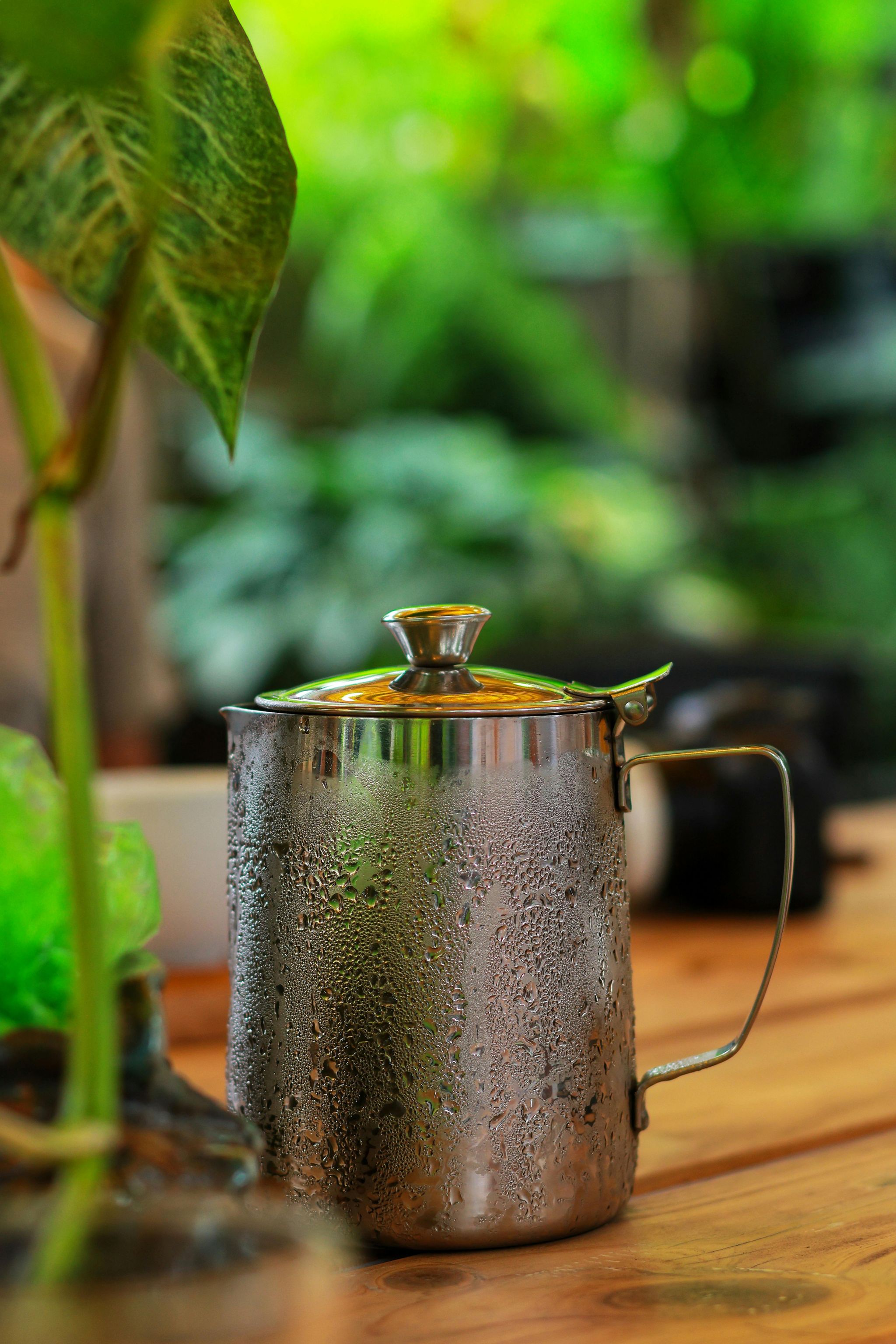 Moringa Powder _2