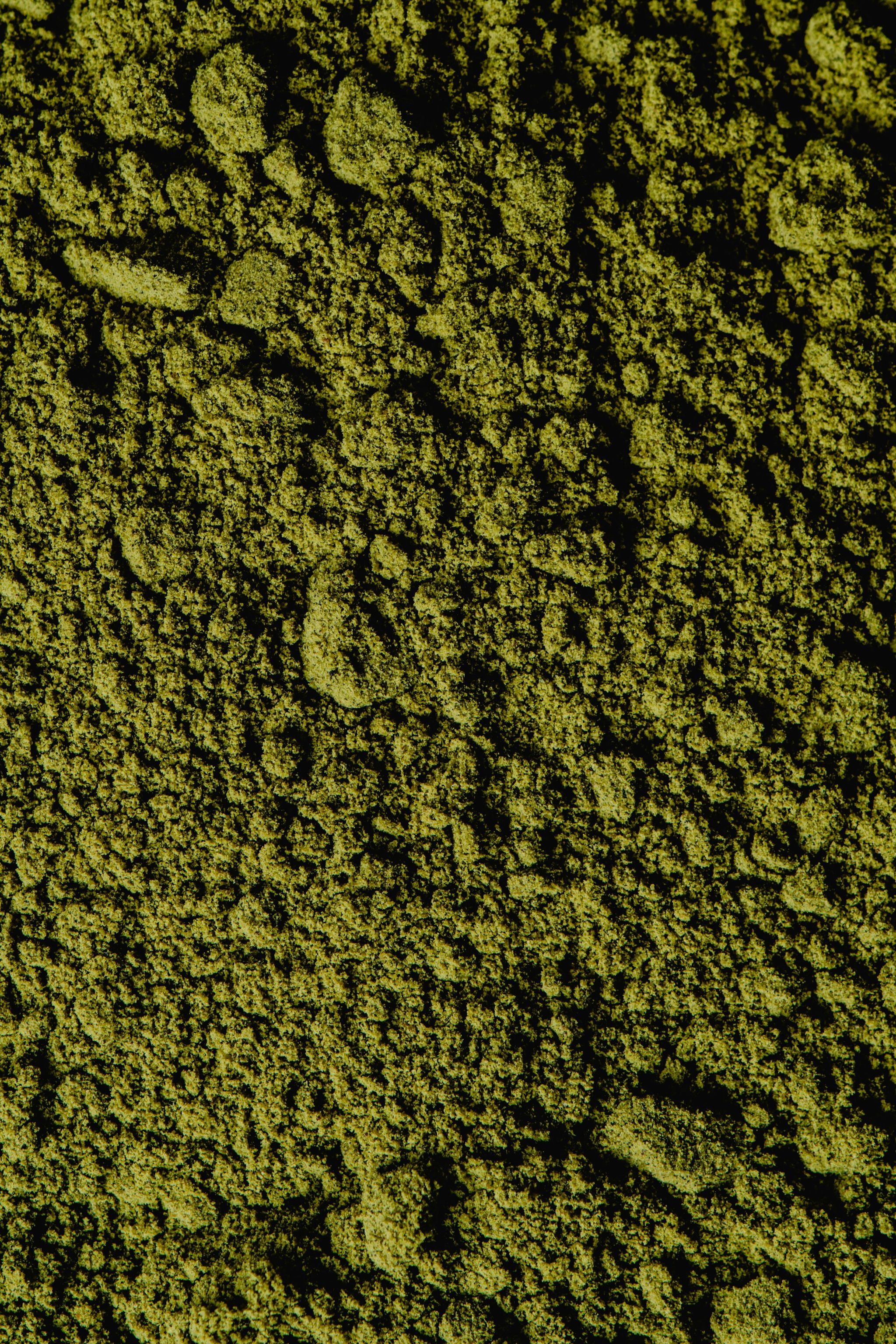 Neem Leaf Powder _3