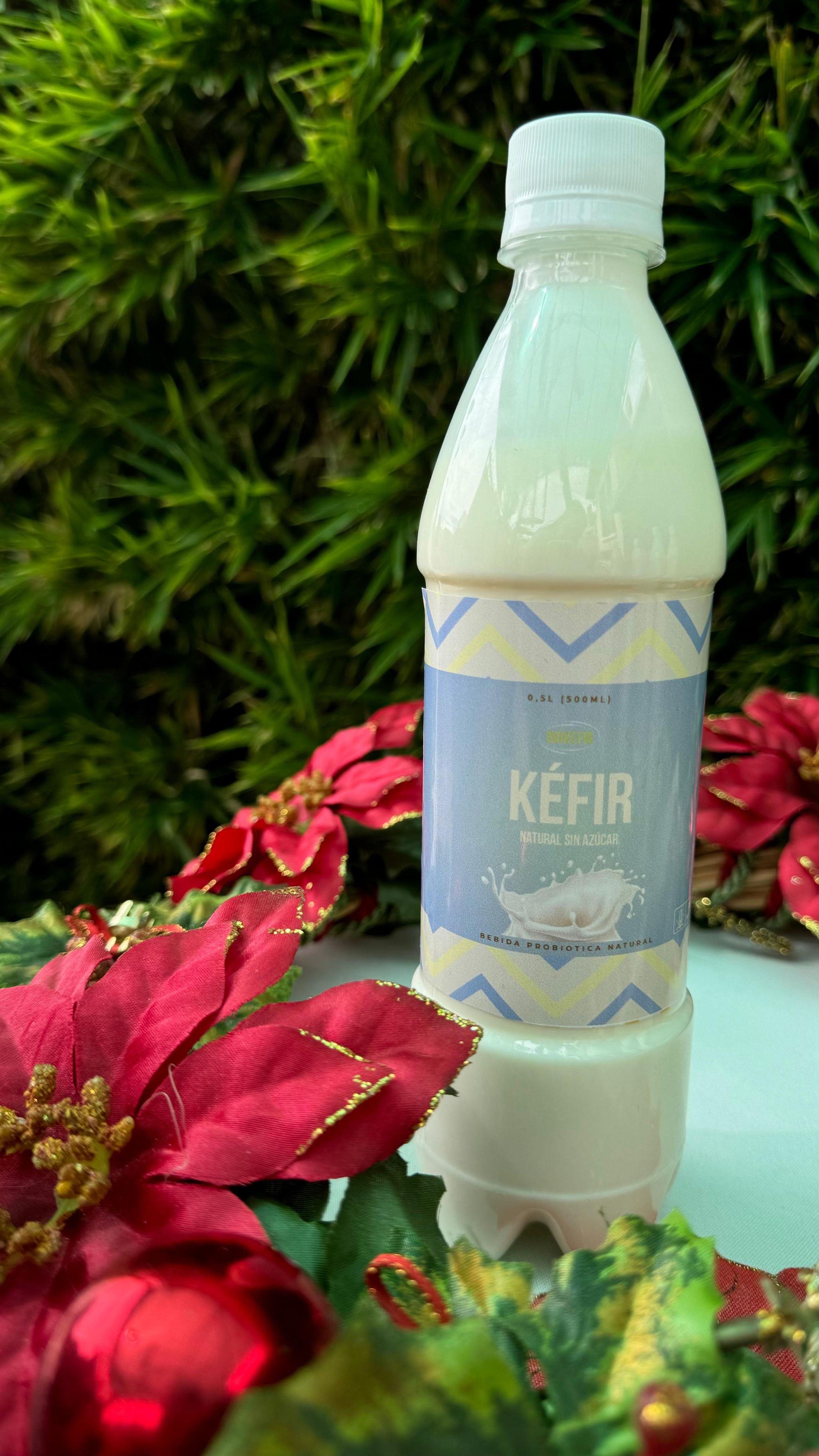 Kéfir Natural_0